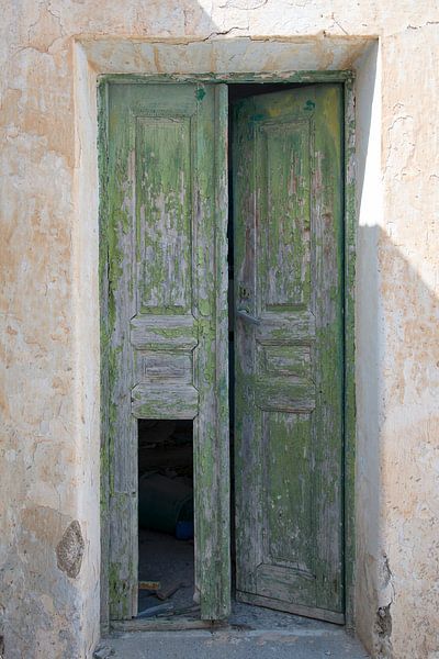 Green door by Barbara Brolsma