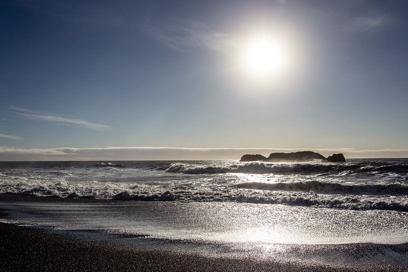 Island von Eric van Nieuwland