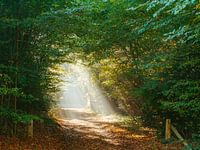 Licht im dunklen Tunnel