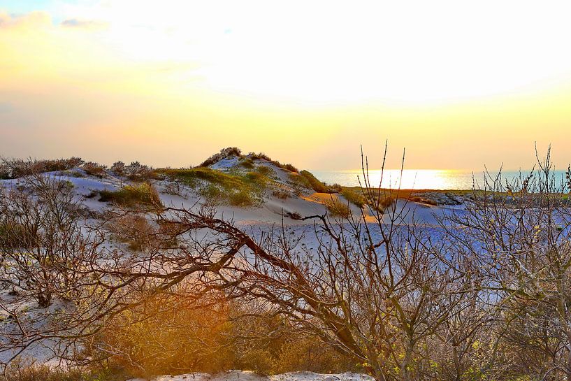 Meer und Dünen von Micky Bish