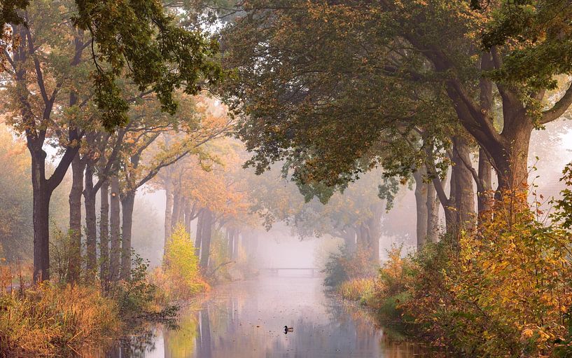 Herbst in den Groninger Veenkoloniën von Marga Vroom