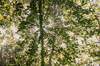 Photographie de voyage 