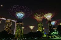 Jardins au bord de la mer