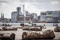 Chantier naval NDSM d'Amsterdam