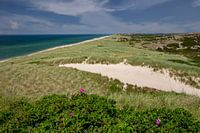 Strand und Dünen auf Sylt