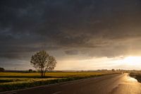 Bernstein ist die Farbe meiner Energie