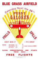 Pussy Galore's Flying Circus