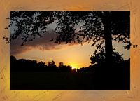 Zonsondergang in Bos