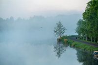 Nebliger Morgen an der Amstel