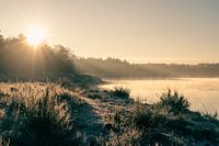 Winter landscape by the lake