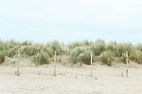 Silent dunes in Kijkduin