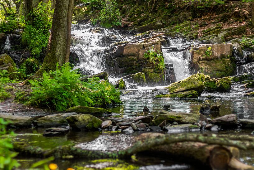 Kleiner Wasserfall im Selketal von Gentleman of Decay