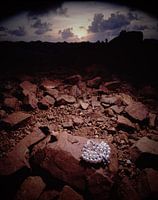 jewel in the caribbean 4