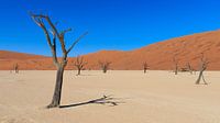 Dead Vlei Namibia
