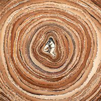 Embrace your Inner Child