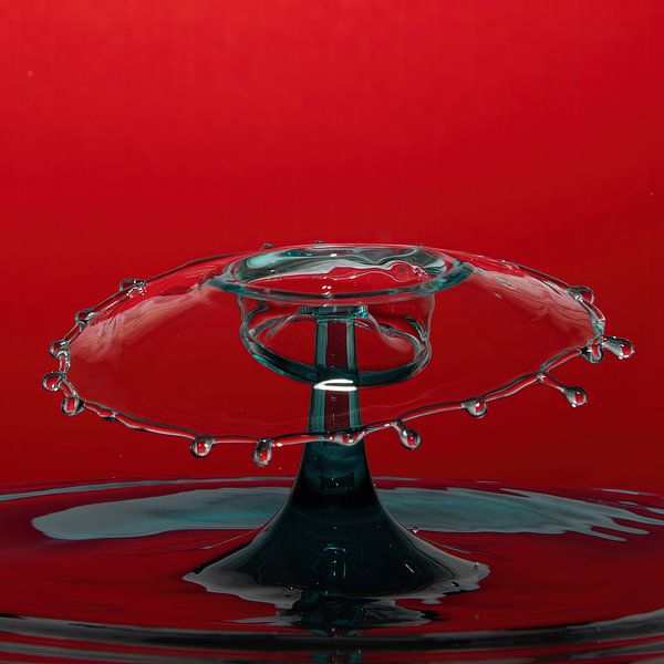 Spritzer in Form eines Pilzes von Anne Ponsen