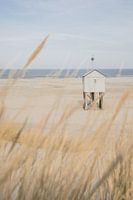 Ein weiterer schöner Sommerblick auf Terschelling