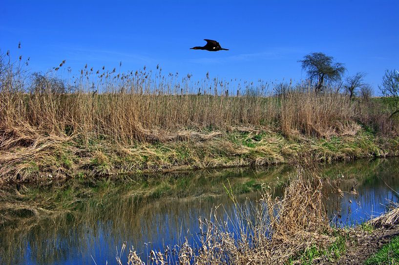 Lippe panorama 2 par Edgar Schermaul
