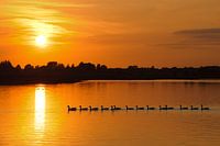 Sonnenuntergang am Fluss