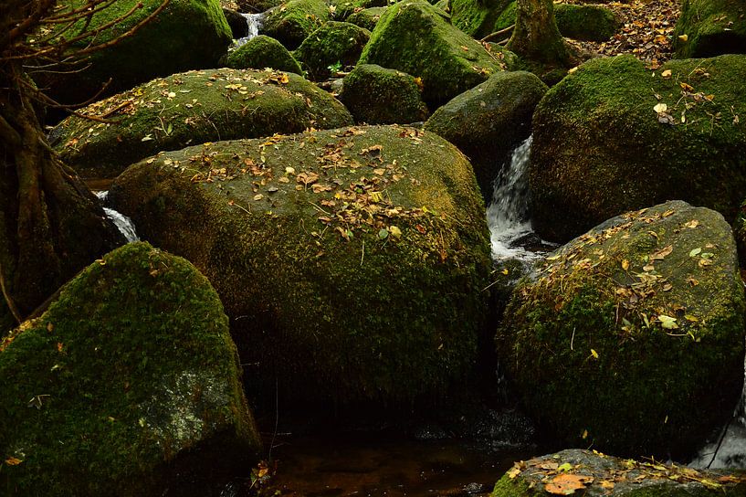 Gebirgsbach Schwarzwald 1.6 von Ingo Laue