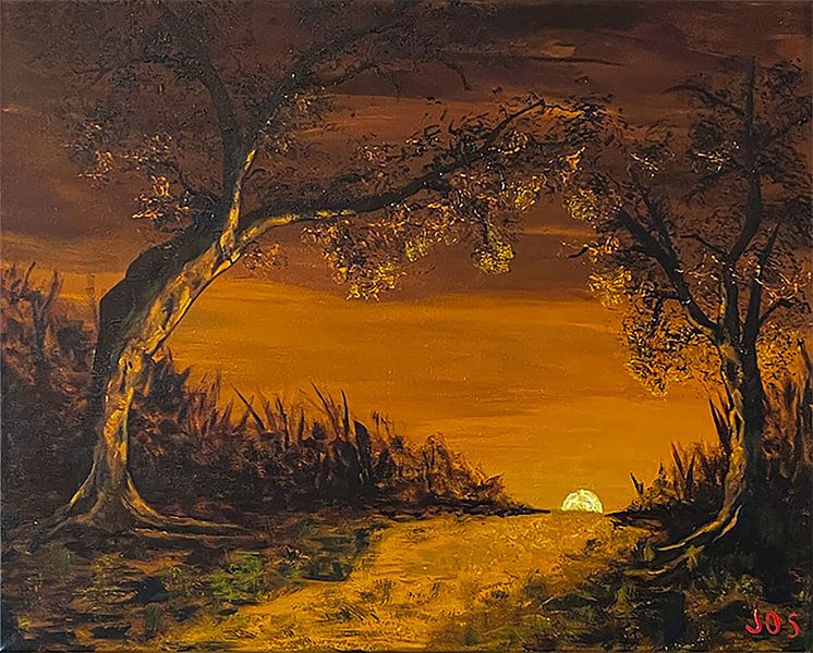 Erleuchteter Wald von Jos van Oorschot