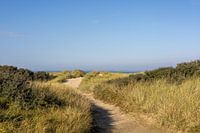Weg naar de rustige zee