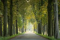 Wilhelminadreef Culemborg