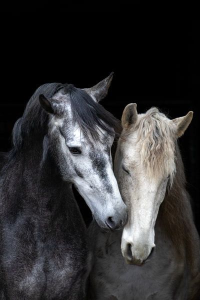 Zwei Seelen von Pictures by Annick