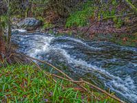 fließender Fluss Bayehon Malmedy Belgien