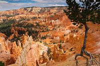 Parc national de Bryce Canyon