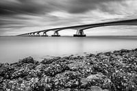 The Zeeland Bridge