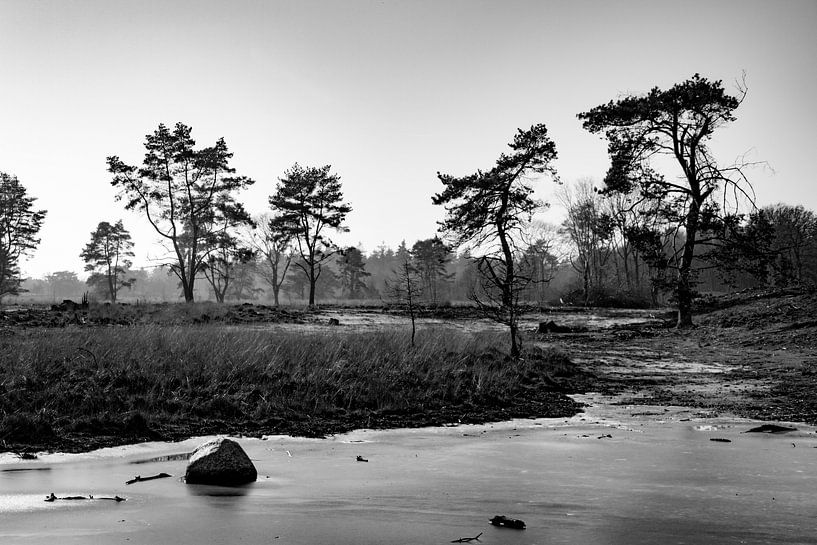 Mandefjild bij Bakkeveen in de winter, zwart-wit von Tilja Jansma