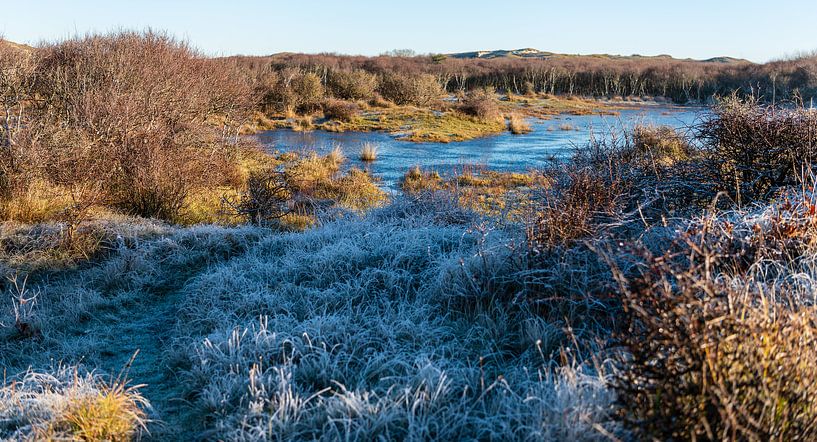Winter in the dunes by Rob Donders Beeldende kunst