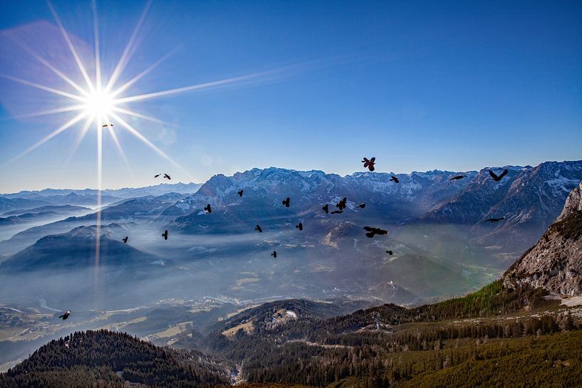 Bergdohlen von der Werfnerhütte von Christa Kramer