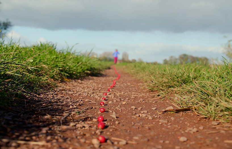 Die Reihenfolge von Mies Heerma