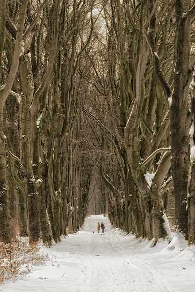 Winter-Wunderland von Moetwil en van Dijk - Fotografie