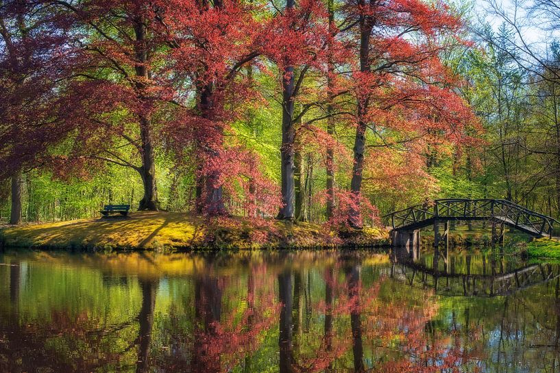bridge in the park by Hanneke Luit
