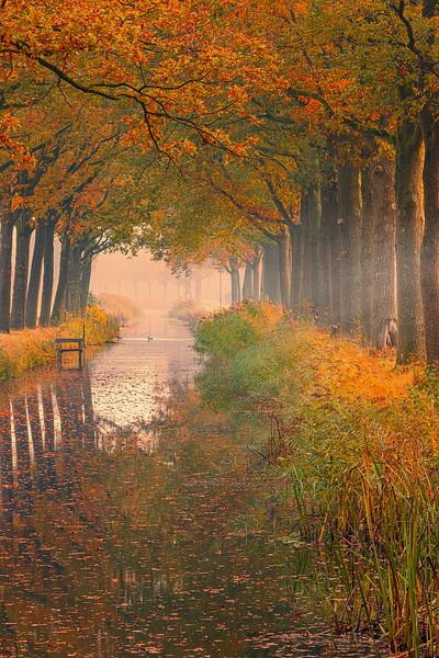 Herbst in Friesland von Henk Meijer Photography