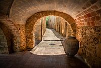 Terrakotta-Vase in einer spanischen Straße.