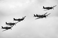 Spitfire Scramble in black and white.
