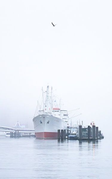 Bateau "Cap San Diego&amp;quot ; dans le port de Hambourg par Nils Steiner