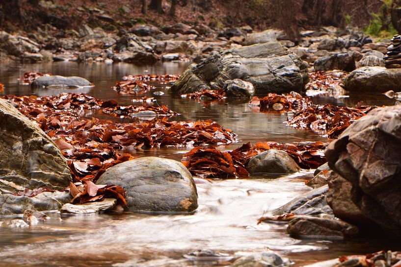 Une rivière entre les pierres par Gerard de Zwaan
