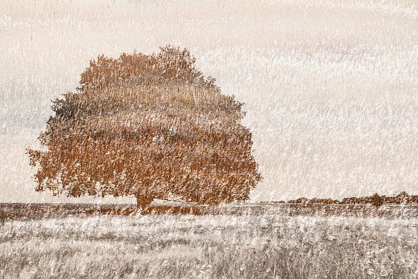 Alte Eiche in der Landschaft von Teuni's Dreams of Reality