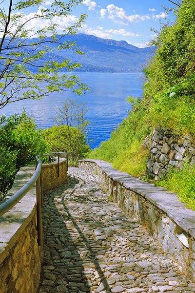 Weg zum See von Gisela Scheffbuch