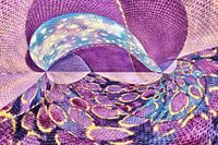 The colourful dolphin.