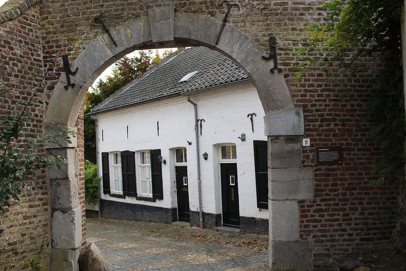 Dornen von Rieky Mooren