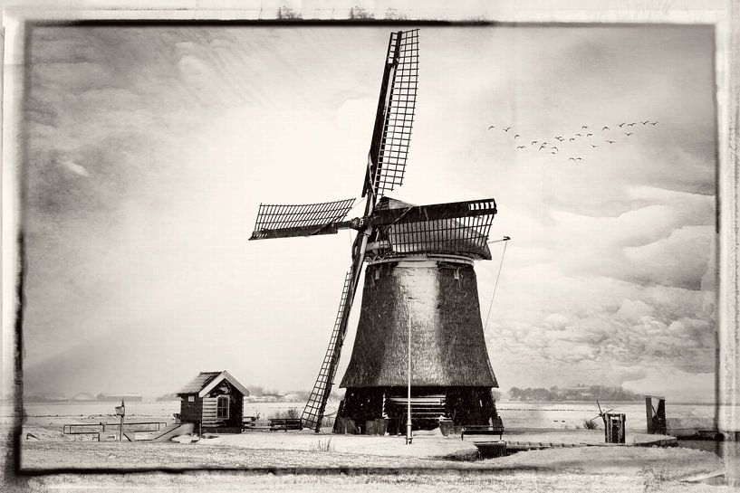 Windmühle in Noord-Holland  von eric van der eijk