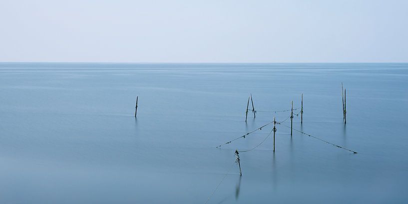 gelé par Aline van Weert