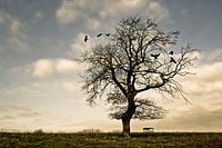 Ein ruhiger Herbstnachmittag