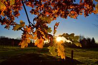 Soirée d'automne ensoleillée